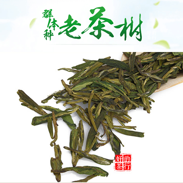 2017新茶 雨前龙井 老茶树种 浓香型老茶客最爱的好茶 散装250g